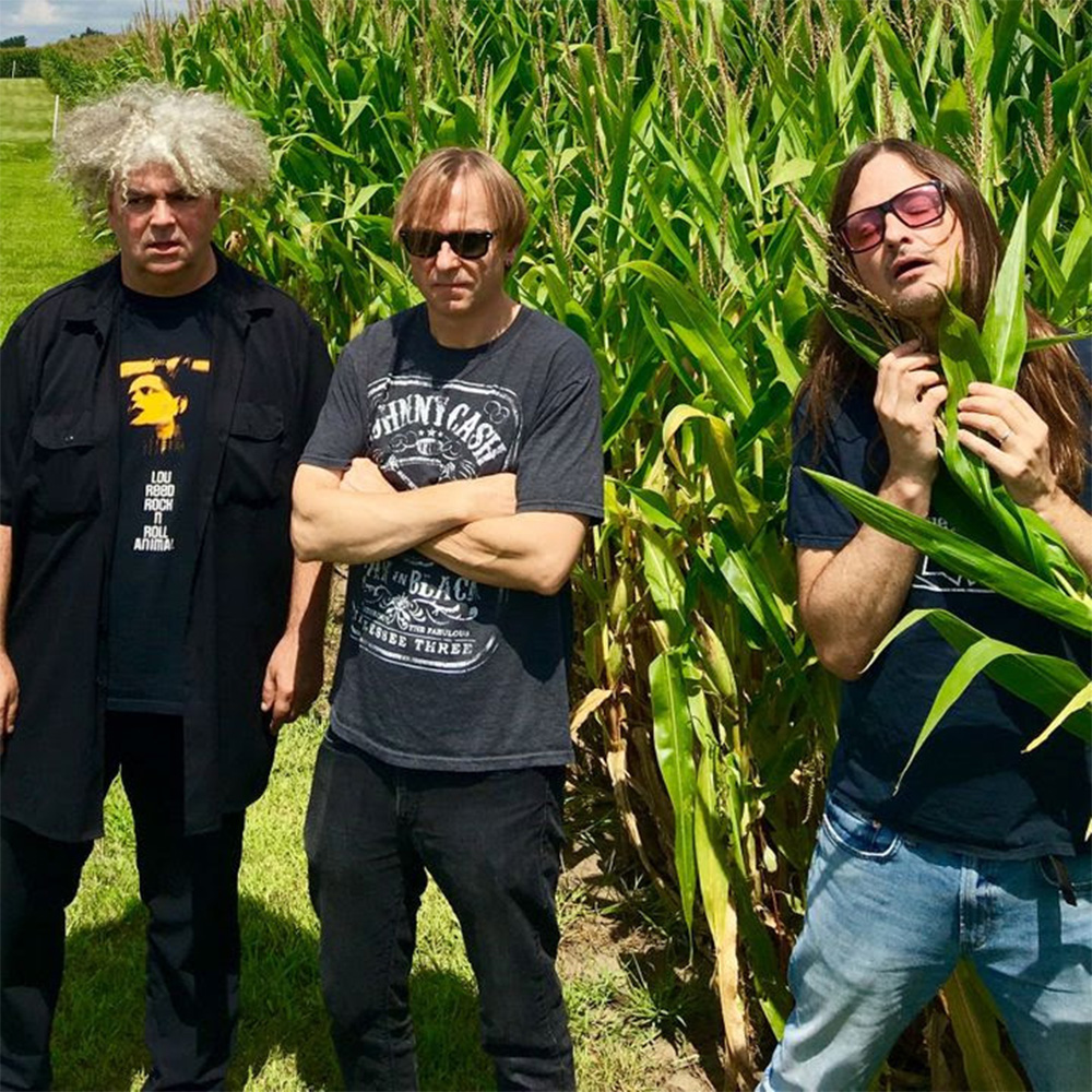 Profile image for the artist The Melvins