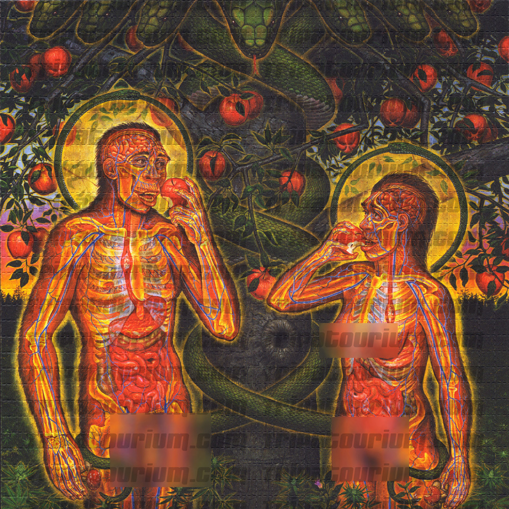 A photo of the LSD Blotter Art Print Adam & Eve by Alex Grey 
